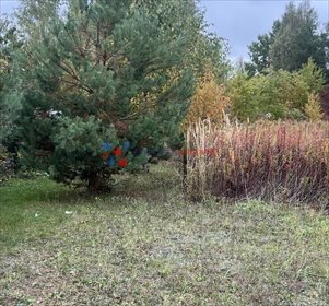 działka na sprzedaż 800m2 działka Żabieniec