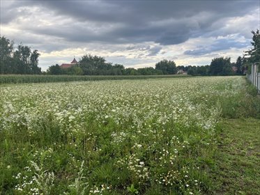 Działka inwestycyjna 6 354 m² w Zwoleniu działka Zwoleń, Kochanowskiego