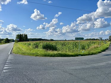 działka na sprzedaż 50308m2 działka Kębliny, Strykowska