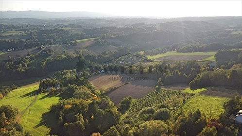 Działka leśna na sprzedaż Ryglice, Wola Lubecka 18 566m2 Foto 1