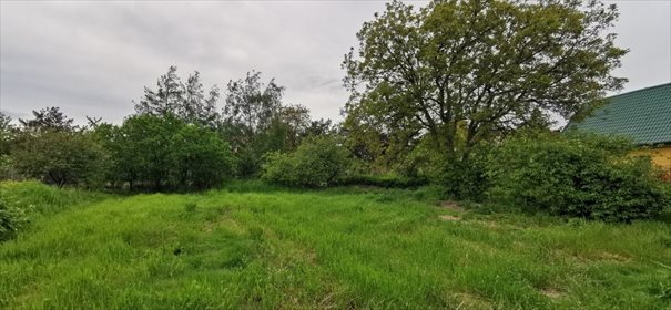 Dom na sprzedaż Michałów 142m2 Foto 4