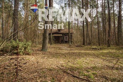 Na sprzedaż działka 1900 m² z domkiem w lesie, MPZP, rekreacja działka Łosie, Ptasia