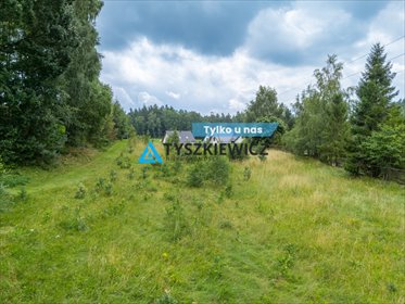 działka na sprzedaż 27604m2 działka Szymbark