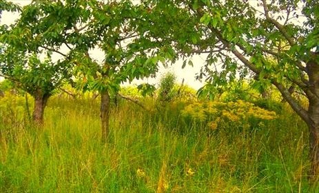 działka na sprzedaż 1289m2 działka Chróścik