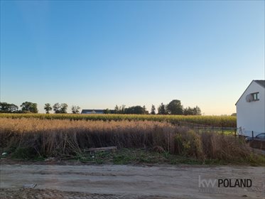 Działka budowlana na sprzedaż Wróblewo 750m2 Foto 2