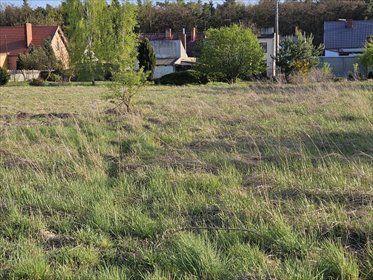 Polecam działkę budowlaną 1348 m² w Nowym Luboszu działka Nowy Lubosz