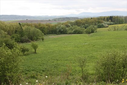 Działka 25 442 m² z potencjałem inwestycyjnym - Dębowiec działka Ogrodzona