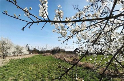 Działki budowlane w Marklowicach Górnych z mediami, 1100 m2 działka Marklowice Górne, ul. Ustronna