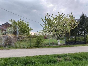 dom na sprzedaż 80m2 dom Pacyna
