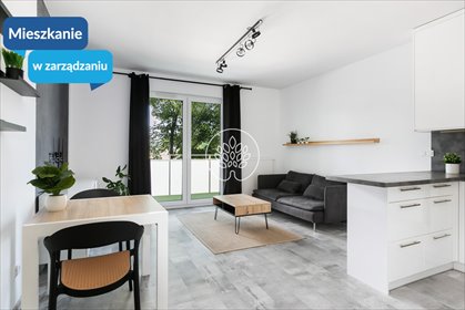 mieszkanie na wynajem 50m2 mieszkanie Bydgoszcz