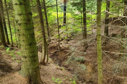 Działka rolna na sprzedaż Bartkowa-Posadowa 15 200m2 Foto 7