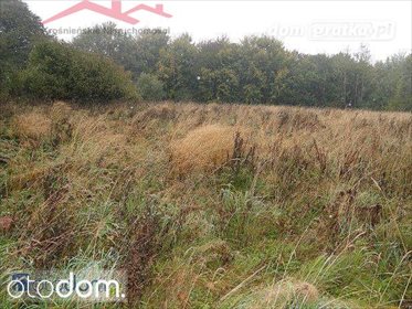 działka na sprzedaż 2000m2 działka Haczów