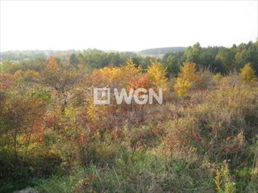 działka na sprzedaż 928m2 działka Płaza, Płaza, Płaza