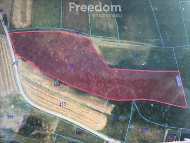 działka na sprzedaż 7400m2 działka Dubie