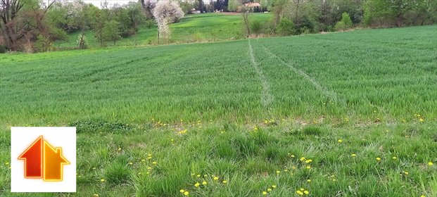 Działka budowlano-rolna 19,73 ar z WZ, media, asfalt - zapraszam działka Chmielnik