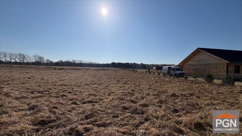 Polecam działkę 3014 m² w Trzebieszewie z dostępem do asfaltu działka Trzebieszewo
