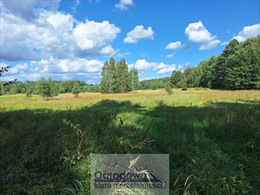 Polecam działkę 46 000 m² przy DK50 z planem usług i zabudową działka Zawiszyn