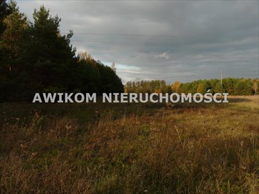 działka na sprzedaż 1200m2 działka Puszcza Mariańska