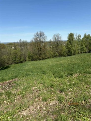 działka na sprzedaż 6600m2 działka Bęczyn