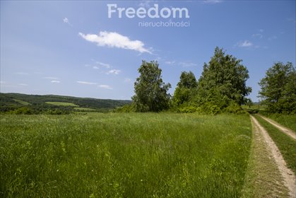 działka na sprzedaż 18004m2 działka Krzywe