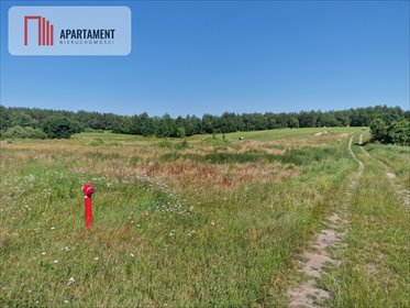 Duża działka 8308 m² z warunkami zabudowy. działka Roztoka