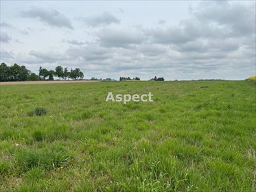 działka na sprzedaż 2805m2 działka Studzionka