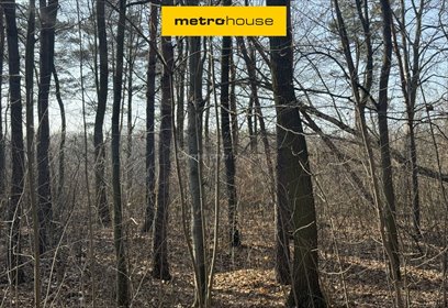 działka na sprzedaż 20000m2 działka Drużykowa