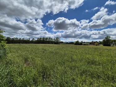 działka na sprzedaż 16500m2 działka Niwna