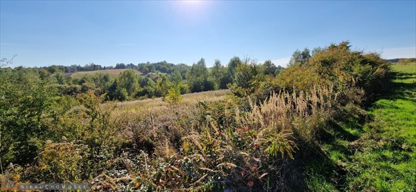 Działka rolna 1,89 ha w Białym Kościele. działka Biały Kościół