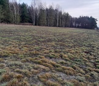 działka na sprzedaż 4200m2 działka Rakszawa