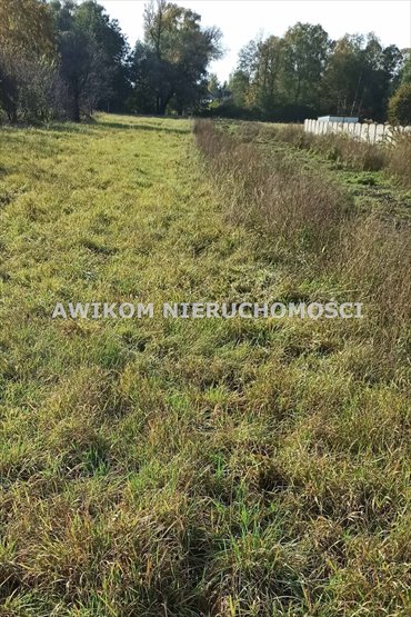 Zapraszam do zakupu działki 1135 m² w Budach Grzybek działka Jaktorów, Budy-Grzybek