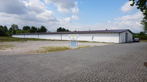 lokal użytkowy na wynajem 1291m2 lokal użytkowy Niepołomice