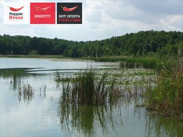 działka na sprzedaż 23800m2 działka Ciechocin, św. Jana Pawła II