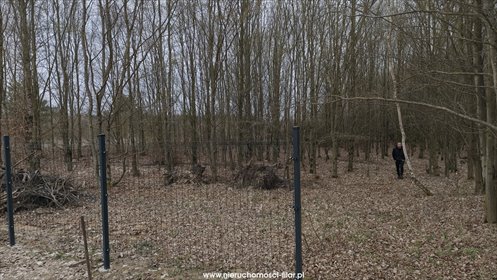 działka na sprzedaż 301m2 działka Wierzchucinek