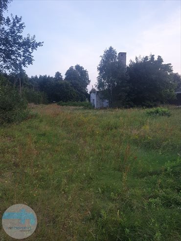 Działka budowlana na sprzedaż Biele 6 900m2 Foto 5