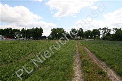 działka na sprzedaż 70367m2 działka Święcice