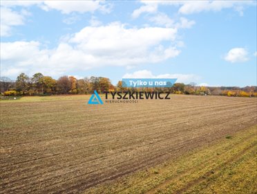 działka na sprzedaż 3238m2 działka Szczenurze