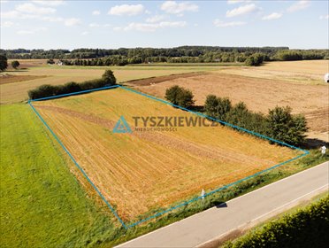 działka na sprzedaż 5250m2 działka Perlino, Dworska