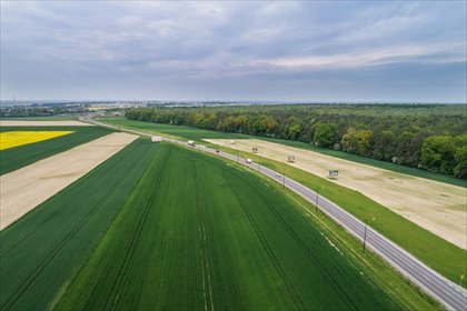 Na sprzedaż działka 18 048 m² w Świdniku z dostępem do mediów działka Świdnik, Aleja Jana Pawła II