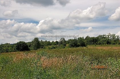 działka na sprzedaż 1600m2 działka Skawce
