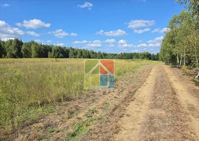 Działka 1050 m² przy lesie w Teodorowie - polecam działka Teodorów