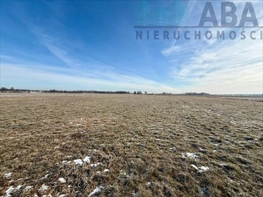 Działka 5000 m² pod dom i inwestycję z mediami działka Słodków