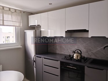 mieszkanie na wynajem 41m2 mieszkanie Zielona Góra, Łużyckie