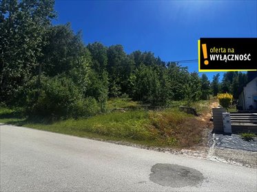 Działka leśna 5810 m² - Bolmin - dostęp asfaltowy działka Bolmin