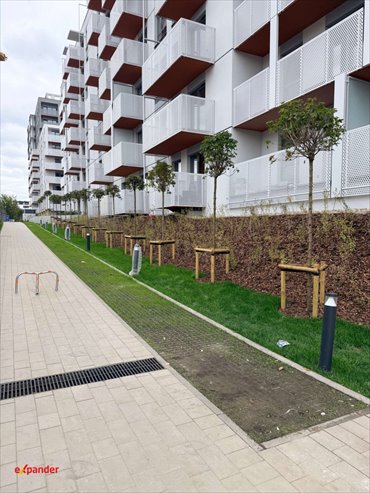 Sprzedam 2-pokojowe mieszkanie 40,2 m² z dużą loggią w Poznaniu mieszkanie Poznań, Jeżyce, Klemensa Janickiego