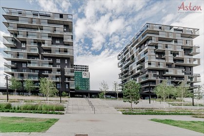 mieszkanie na wynajem 30m2 mieszkanie Katowice, Centrum