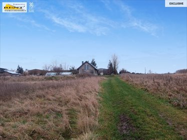 działka na sprzedaż 4000m2 działka Wąwelnica