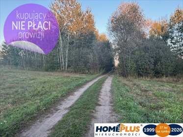 Ziemia 2 ha w Starym Kraszewie (las, dojazd 700 m) działka Stary Kraszew