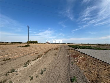 Polecam działkę 4232 m² pod zabudowę w Ożarowie Mazowieckim działka Ożarów Mazowiecki