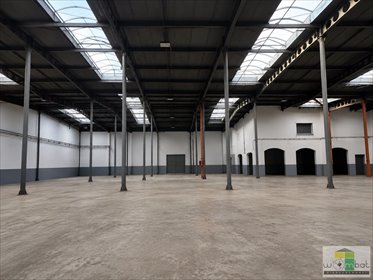 Przemysłowa nieruchomość w Bielawie z dochodem. lokal użytkowy Bielawa